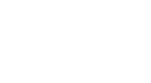 logo Vanille stratégie
